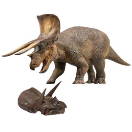 PNSO Dinosaur Museums Series (New Doyle The Triceratops 1:35 Scientific Art Model)