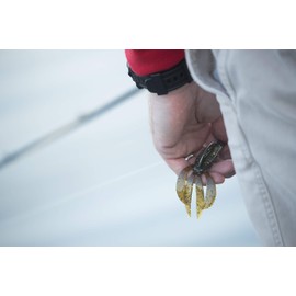 Berkley PBBPB4-WM Powerbait Pit Boss Soft Bait, 4" Bait Length, Watermelon, Package of 8