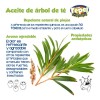 Shampoo Antipiojos Sure Repel Aceite De Árbol De Té Pack2