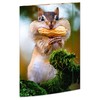 RNK Chipmunk 45375 Drawing Folder 310 x 440 mm Document