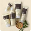 AVEDA [AVEDA]아베다 데미지레미디 데일리 리페어 100ml [AVEDA] Aveda Damage Remedy