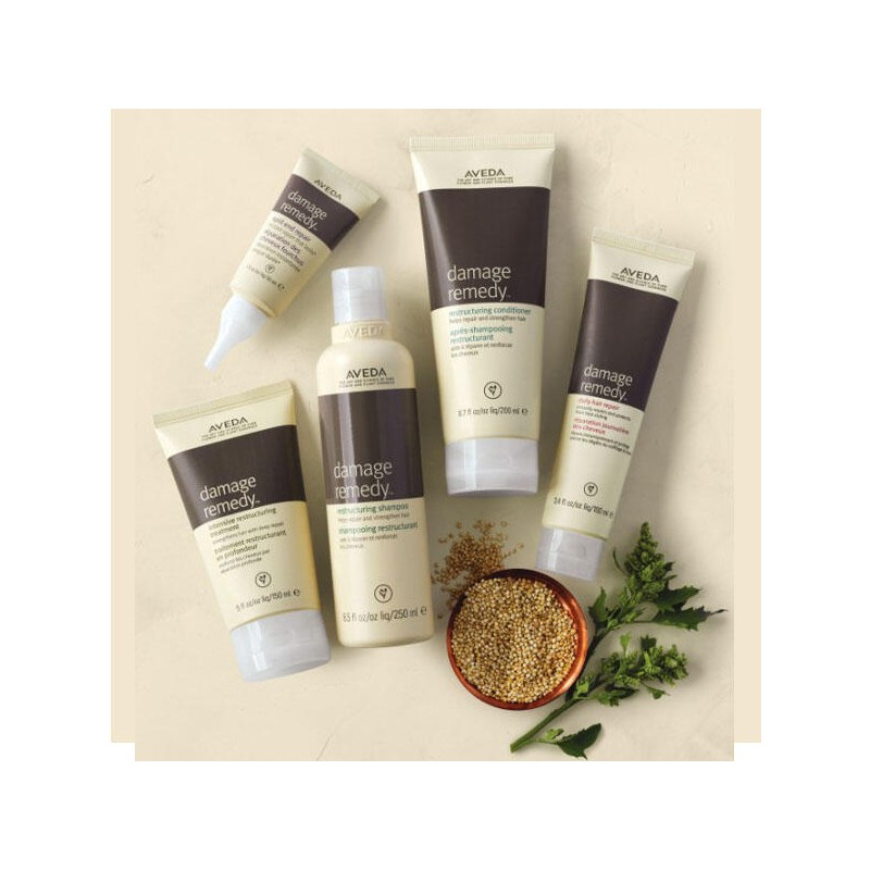 AVEDA [AVEDA]아베다 데미지레미디 데일리 리페어 100ml [AVEDA] Aveda Damage Remedy