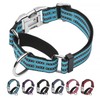 JOYEEIIOO Martingale Collar for Dogs, Reflective, Metal Buckle,Blue,M