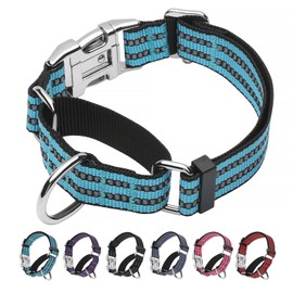 JOYEEIIOO Martingale Collar for Dogs, Reflective, Metal Buckle,Blue,M