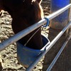 Safety Tie Injuries Preventing Horse Tether Tie - Portable, Versatile