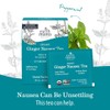 Earth Mama Organic Ginger Nausea™ Tea | Comforts Occasional Nausea
