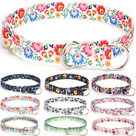 haoyueer Training Dog Collar, No Pull Martingale Collar, Slip On Collar with Sliding Stop Ring for Small Medium Large Dogs (L, White)