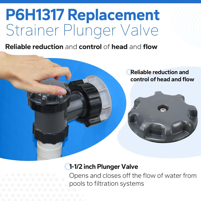 12355 Large Inlet Air Nozzle & Pool Plunger Valve with
