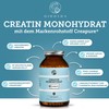 Creapure Creatine Monohydrate by Qidosha 240 Pieces in Pharmacist Glass,