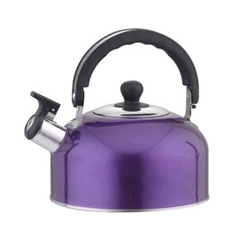 shenruifa 3L Stainless Steel Whistling Camping Bottle Lightweight Kettle for Camping Trips ()