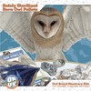 NW Barn Owl Pellet Kit for Kids Includes Pick &