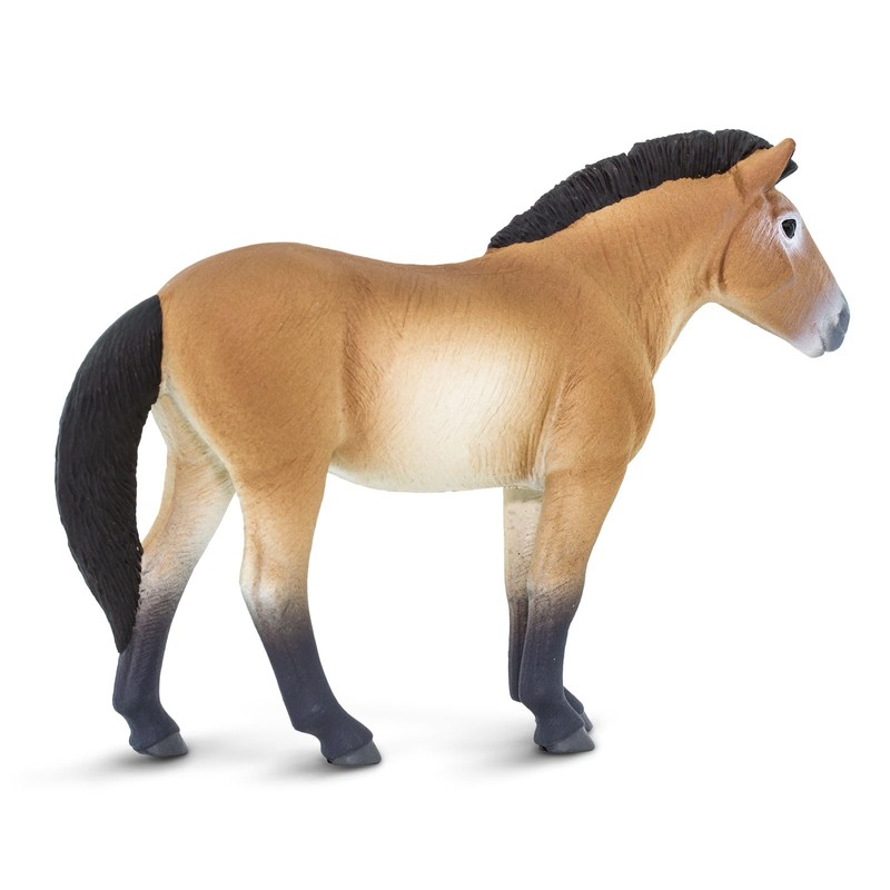 Safari Ltd. Przewalski's Horse Figurine - Lifelike 5" Horse Figure
