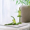 SYFUNLV 4 Pieces 3D Yoga Frog Statue, Resin Yoga Frog