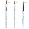 Aridito 3pcs Acrylic Nail Brush Set | Irregular Transparent Professional-Grade