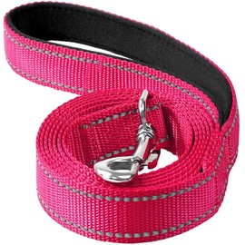Erbine 6ft Dog Leash for Small Medium Large Dogs | One-Sided Reflective Nylon | Padded Handle | 1 inch Wide | Hot Pink