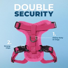 Voyager Step-in Lock Adjustable Cat Harness w. Cat Leash Combo Set with Neoprene Handle 5ft - Supports Small, Medium and Large Breed Cats by Best Pet Supplies - Fuchsia, XXS
