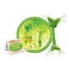 GIANTmicrobes Nerve Cell Plush – Learn About Your Nervous System