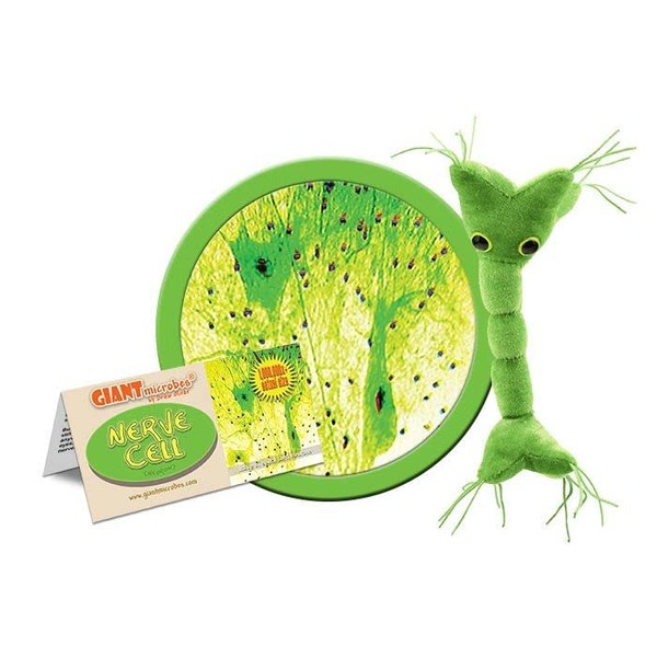GIANTmicrobes Nerve Cell Plush – Learn About Your Nervous System