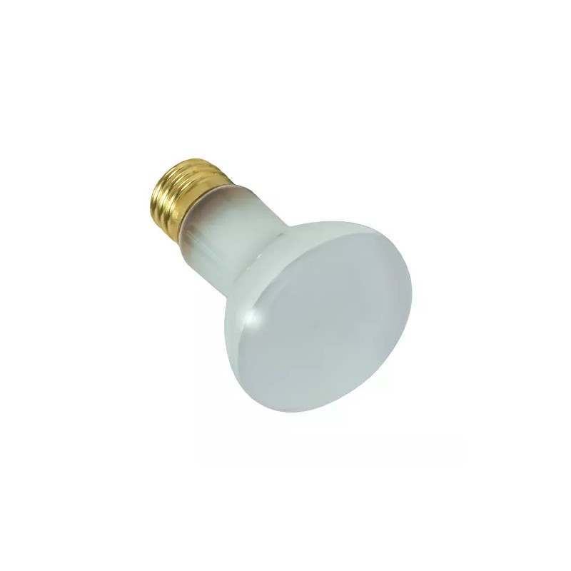 Satco S7002 100R20FL POOL 12V 100W R20 Flood Light Bulb