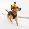 RUFFWEAR Quinzee XXSmall Dog Rain Jacket, Insulated All Weather Dog
