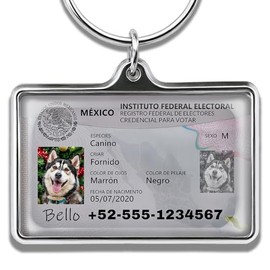 Tarjeta de Identificación Personalizada - Placa Metálica Duradera para Perros y Gatos, Certificad...