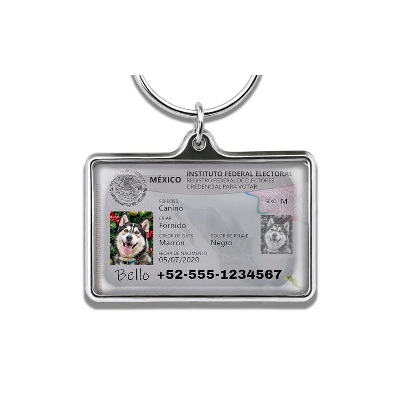 Tarjeta de Identificación Personalizada - Placa Metálica Duradera para Perros
