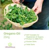 UKHealthHouse Oregano Oil 25mg Capsules Softgel | 18.75mg Carvacrol, Low