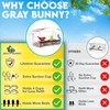 Gray Bunny Gray Bunny Window Bird Feeder with Strong Suction