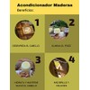 Verseth - Kit Shampoo + acondicionador en barra, anticaída y