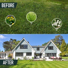 BULUNOW Weed Puller Tool, 50IN Long Handle 4 Claws Stand Up Weeding Tool, Extra Thickened Stainless Steel Shaft Garden Weeder,Remove the Roots of Thistles, Crabgrass, Dandelions, and Blackberries, etc.