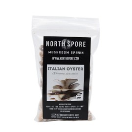 North Spore Italian Oyster Mushroom Plugs, 100 Count Premium Quality Mushroom Plug Spawn, Made in USA, Grow Mushrooms on Logs, Easy to Use, Gourmet Culinary Mushrooms, Medicinal Mushrooms