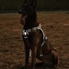 CBBPET Tactical Dog Harness for Small Medium Large Dogs No