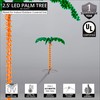 Deluxe Tropical LED Rope Light Palm Tree with Lighted Holographic