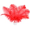 Soarer Red Ostrich Feathers for Vase 15 pcs 12-14inch Craft