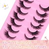 Fox Eye Lashes Natural, Wispy False Eyelashes Clear Band, Fluffy