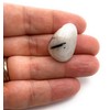 White Tourmalinated Quartz Medium Crystal Tumbled Stone - 1 Pc