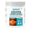 Creatine Monohydrate Powder 500g Unflavoured & Micronised