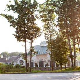 Stonewall Kitchen Lemon Dijon Vinaigrette, 11 fl oz