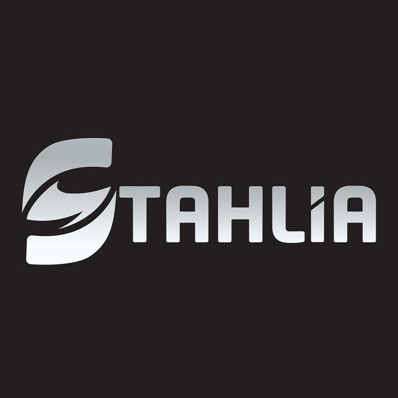 STAHLIA® 1 Pair Gas Lift Flap Fitting Gas Pressure Damper