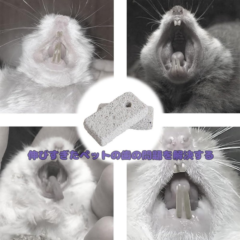 BIUTEFOR Chinchilla, Toothpaste, Rectangular Chewing Stone, 12 Pieces, Natural Volcanic