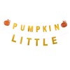 STOBAZA 3 Sets Little Pumpkin Banner Thanksgiving Decor Pumpkin Pattern
