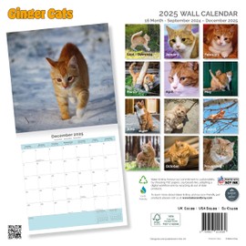 Baker and Bray Ginger Cats Calendar 2025, Large Square Wall Calendar, 16 Month, Ginger Cats Gift Dog Calendar.