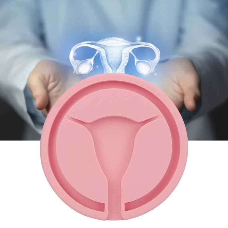 IUD Training Model Y Shape Inside Female Intrauterine Contraceptive Device