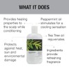 GREAT CLIPS Solutions Tea Tree Conditioner 32 Fl Oz |