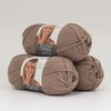 Lion Brand 3-Pack Vanna's Style 100% Acrylic Soft Yarn for