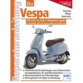 Vespa 125 ccm: Modelle LX, LVX, S, Primavera, Sprint ab Modelljahr 2005 (Reparaturanleitungen)