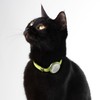 Safety Cat Collar Pro - U.S. IDA Gold Awarding Design,