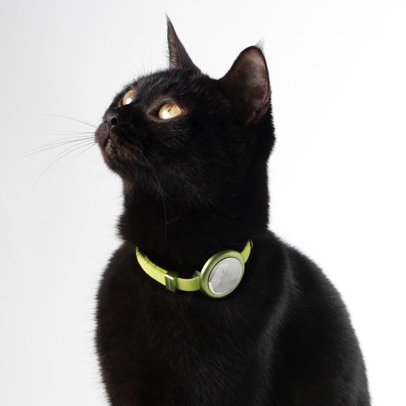 Safety Cat Collar Pro - U.S. IDA Gold Awarding Design,