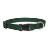 Solid Color 3/4" Adjustable Medium Dog Collar Size: Small (9" - 13"), Color: Green