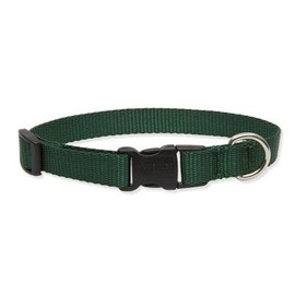 Solid Color 3/4" Adjustable Medium Dog Collar Size: Small (9" - 13"), Color: Green